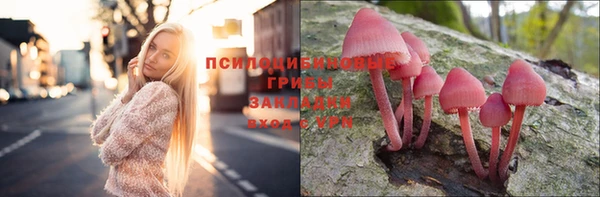 марки nbome Новодвинск