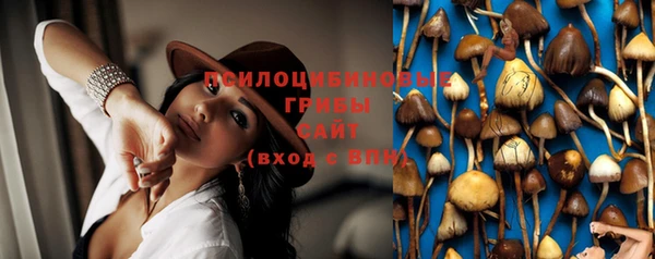 марки nbome Новодвинск