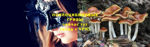 амф Арсеньев