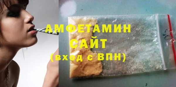 прущие грибы Новозыбков