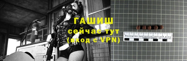 шишки Аркадак