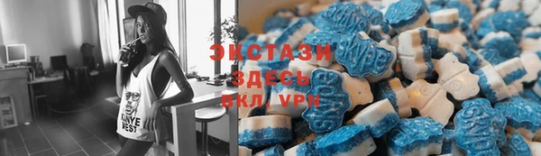 шишки Аркадак