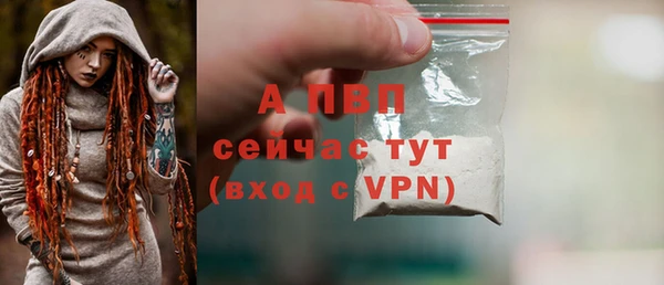 амф Арсеньев