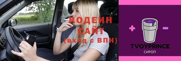 амф Арсеньев