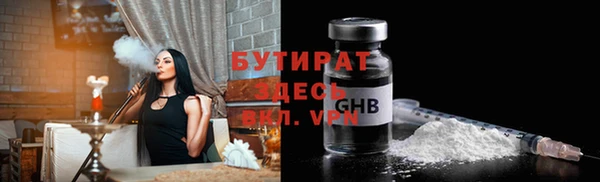 шишки Аркадак