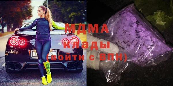 прущие грибы Новозыбков