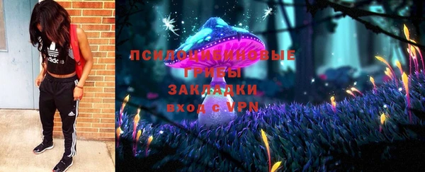 шишки Аркадак