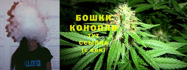 шишки Аркадак