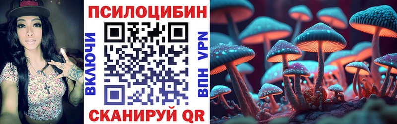 Псилоцибиновые грибы Magic Shrooms  где купить наркоту  Советская Гавань 