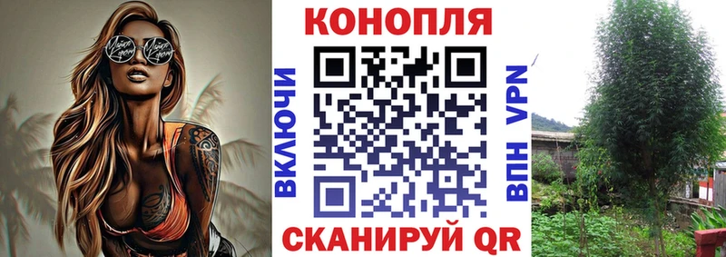 MEGA ссылки  Советская Гавань  Марихуана конопля 